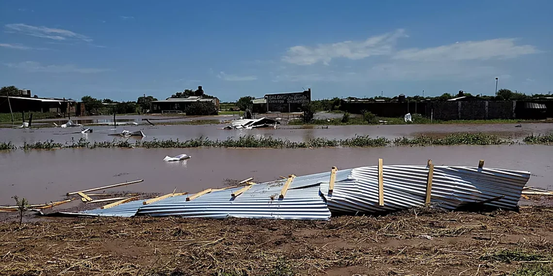 Tormenta: Destrozos, voladuras de techos, árboles y postes de luz derrumbados