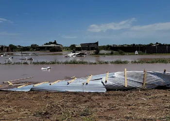 Tormenta: Destrozos, voladuras de techos, árboles y postes de luz derrumbados