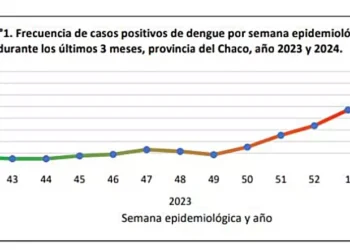 Dengue: Las Breñas con la mayor cantidad de casos notificados del interior