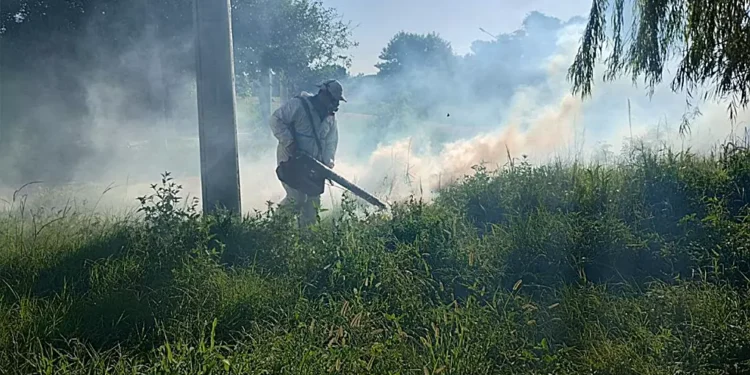 Control de Vectores trabajó fuertemente en Barrio Ortiz