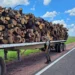 Policía Rural secuestra casi 40 toneladas de leña y soja