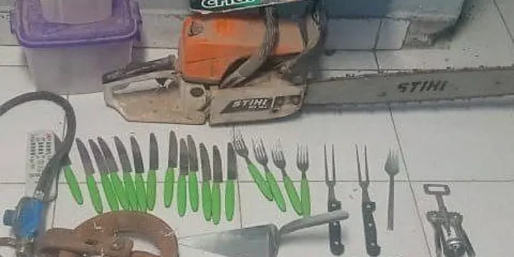 Policía detuvo a masculino con gran cantidad de utensilios de cocina