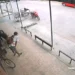 Ladrón roba una bicicleta, pero antes elonga