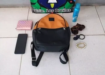 Policía detiene a violento que robó a una joven