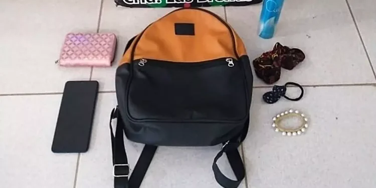 Policía detiene a violento que robó a una joven