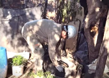Nación, provincia y municipio breñense, aunados contra el Aedes