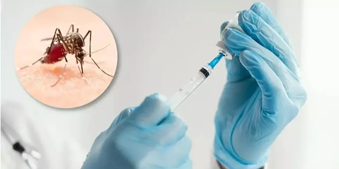 Corrientes se suma a Salta y Misiones para inmunizar contra el Dengue