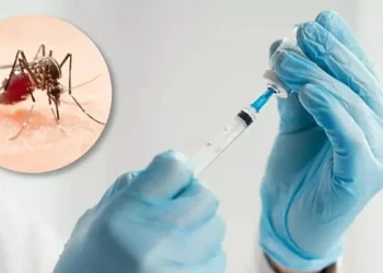 Corrientes se suma a Salta y Misiones para inmunizar contra el Dengue