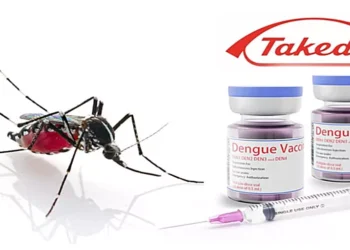 Vacuna contra el Dengue: Iniciará en Septiembre de manera gratuita