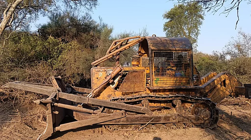 Nuevo golpe al desmonte ilegal