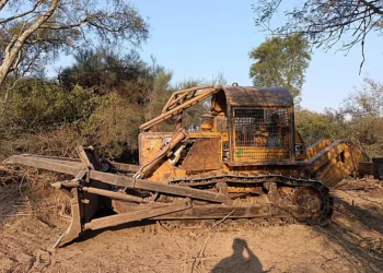 Nuevo golpe al desmonte ilegal