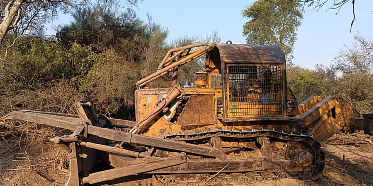 Nuevo golpe al desmonte ilegal