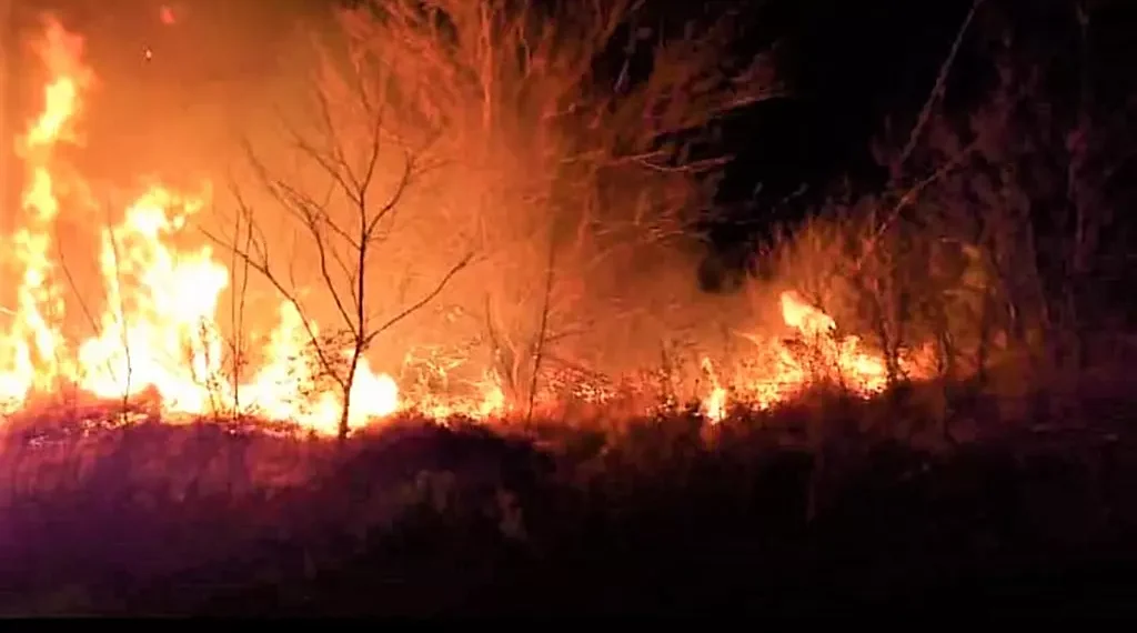Pérdidas económicas luego de cada incendio
