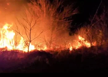 Pérdidas económicas luego de cada incendio