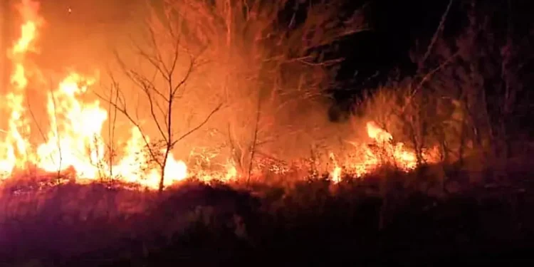 Pérdidas económicas luego de cada incendio
