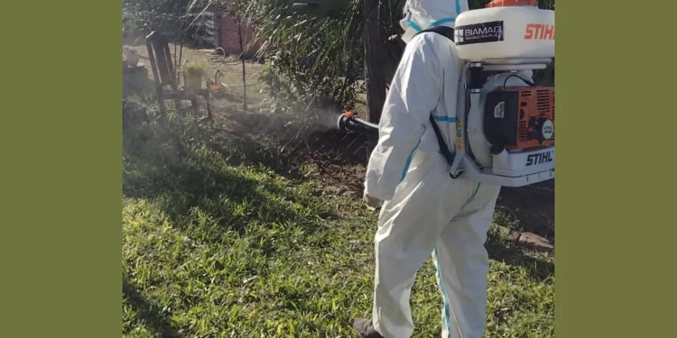 Mutación genética en el Aedes Aegypti lo hace hasta 10 veces más resistente a la fumigación