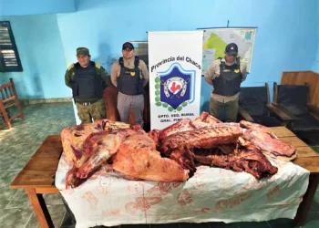 431 Kilos de carne vacuna fue secuestrado por Policía Rural