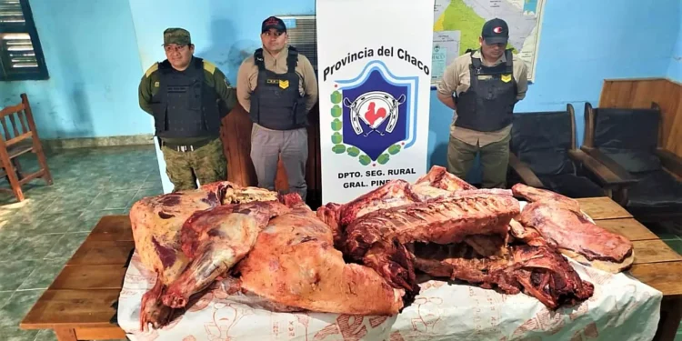 431 Kilos de carne vacuna fue secuestrado por Policía Rural