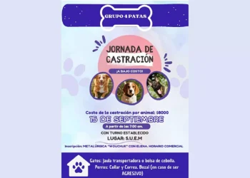 Castración a Bajo Costo el próximo Domingo 15