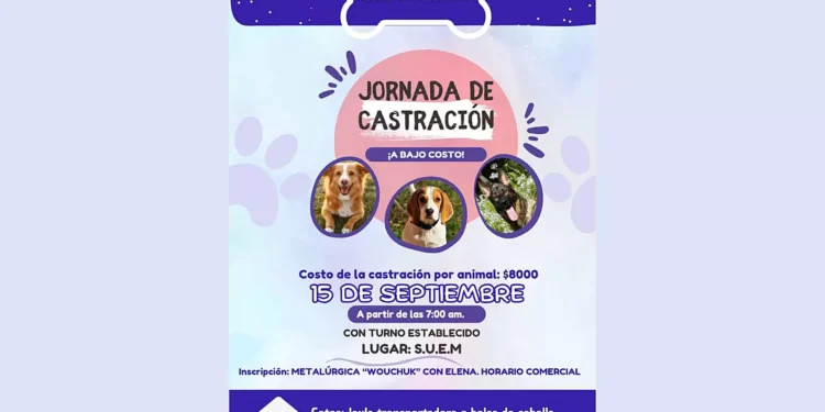 Castración a Bajo Costo el próximo Domingo 15