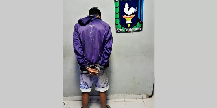 Efectivos policiales recuperan alambrado robado en EES N° 99