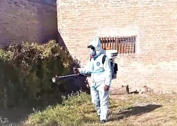 Se confirmó un Caso de Dengue en Las Breñas