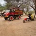 Bomberos Voluntarios rescataron animales de un pozo
