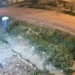 Así roban una garrafa y otros elementos