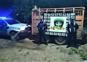 Llevaba 7 vacunos con guías vencidas