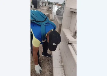 Lucha contra el Aedes: Vectores recorrieron el Cementerio