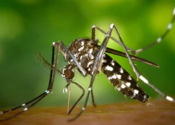 Nuevo caso de Dengue, confirmado por Laboratorio privado