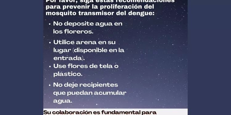 Vectores de Las Breñas, sugieren