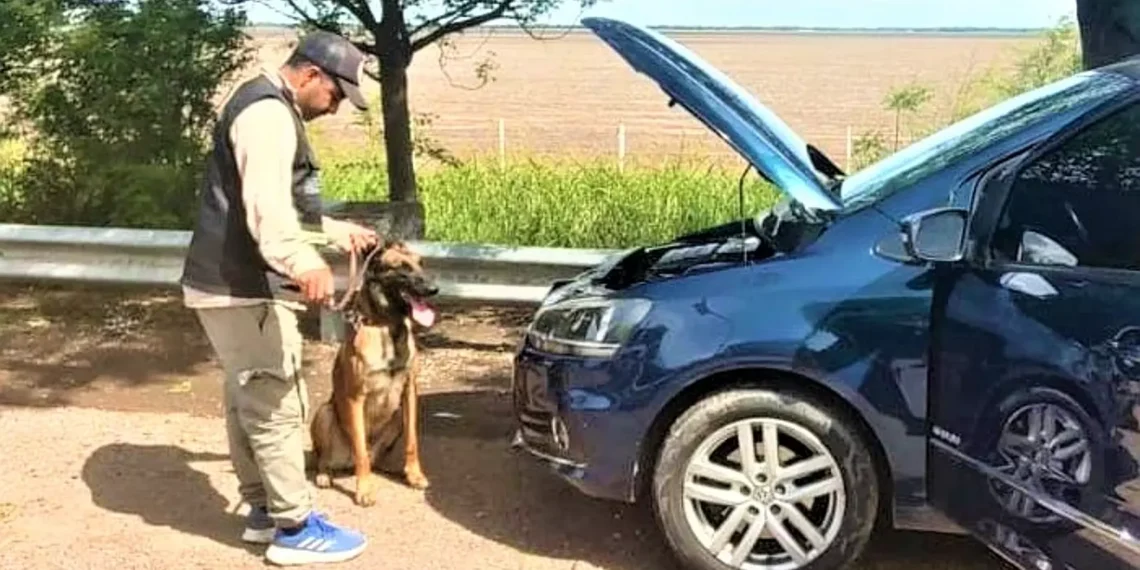 Policía caminera recupera auto robado e intercepta camioneta que llevaba sustancias