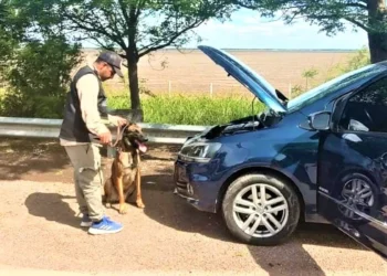 Policía caminera recupera auto robado e intercepta camioneta que llevaba sustancias