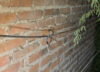 Muerte por electrocución