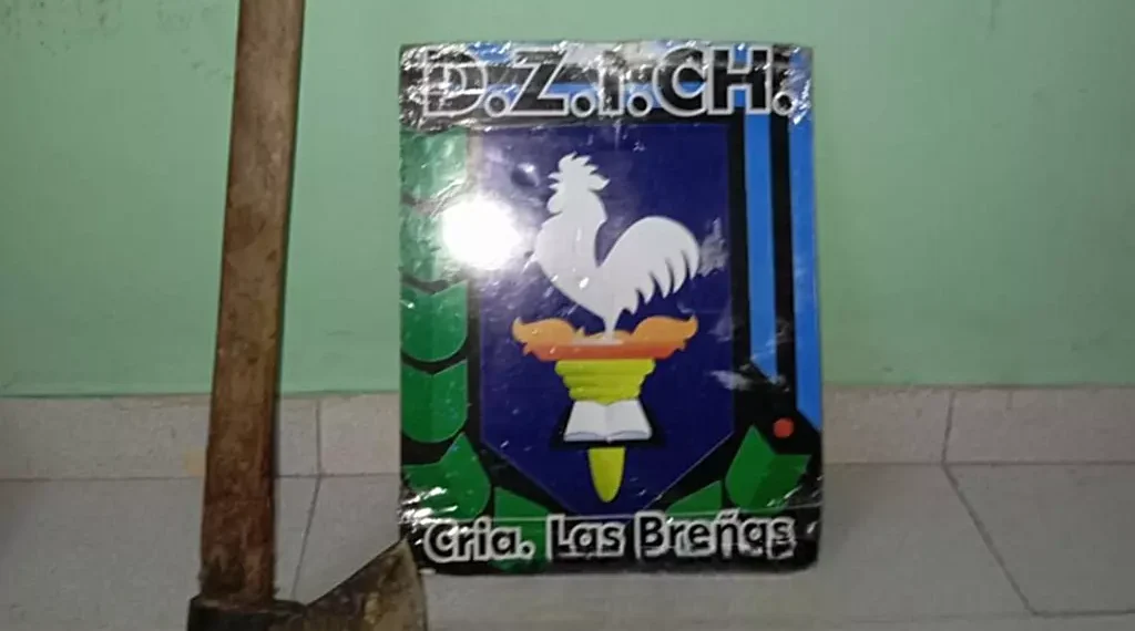 Habría agredido a su ex pareja con un hacha