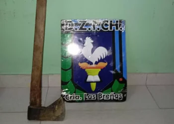 Habría agredido a su ex pareja con un hacha