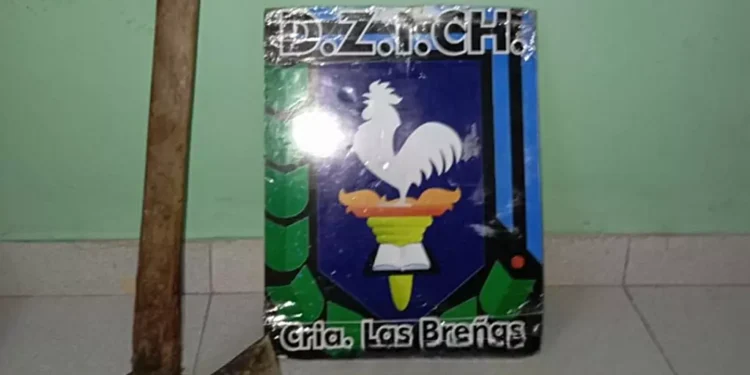 Habría agredido a su ex pareja con un hacha