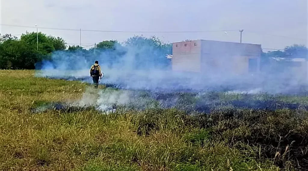 Bomberos sofocan incendio de pastizales y sacan equinos atados