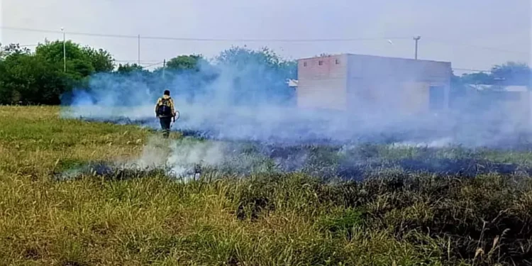 Bomberos sofocan incendio de pastizales y sacan equinos atados