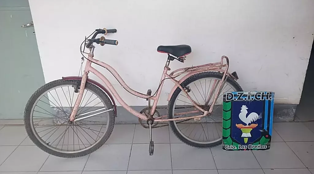 Se llevó una bicicleta, pero fue aprehendido