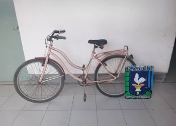 Se llevó una bicicleta, pero fue aprehendido