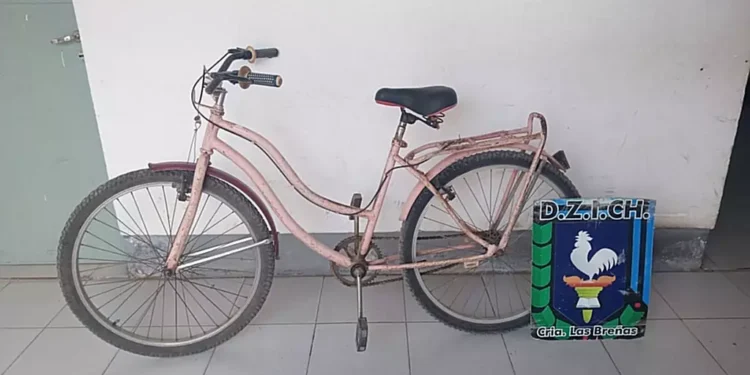 Se llevó una bicicleta, pero fue aprehendido