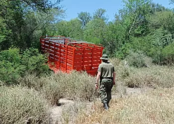 Policía recupera Tráiler por Supuesta Estafa
