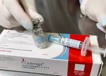 Vacuna contra Dengue: Qdenga, desde este Lunes 27/01
