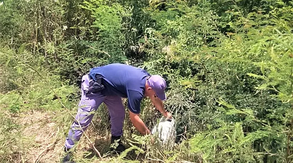 Roban garrafa de domicilio, y Policía la recupera