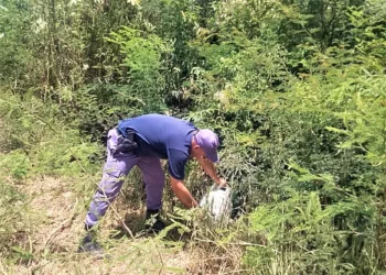 Roban garrafa de domicilio, y Policía la recupera