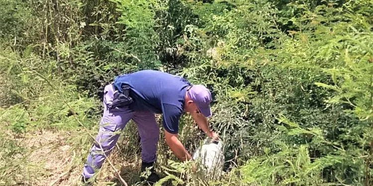 Roban garrafa de domicilio, y Policía la recupera