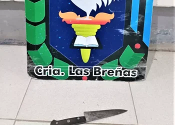 Promovía desorden, armado con un cuchillo, pero fue detenido