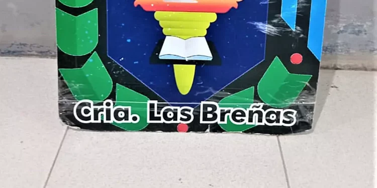 Promovía desorden, armado con un cuchillo, pero fue detenido